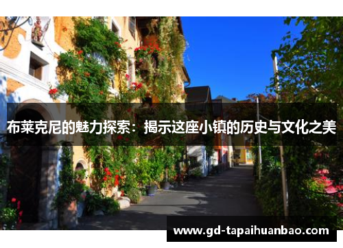 布莱克尼的魅力探索：揭示这座小镇的历史与文化之美