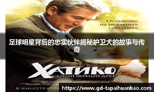 365(vip)英国上市官网